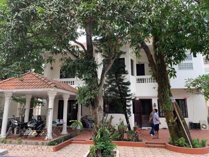 Bán biệt thự Bình Thọ đường Lê Quý Đôn, DT 716m2 ngang 24m, khu trung tâm Thủ Đức